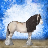 Horse Color:Sable Champagne Dun Mushroom Sabino Splash Rabicano