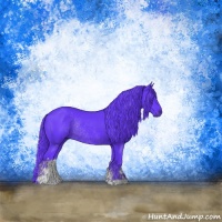 Horse Color:Watercolor Black Sabino Rabicano