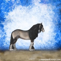 Horse Color:Blue Onyx Sabino