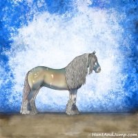Horse Color:Watercolor White Spotted Silver Blue Onyx Rabicano 