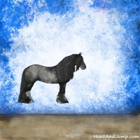 Horse Color:Black Ice Sabino Rabicano 
