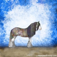 Horse Color:Nacre Brown Sabino Rabicano