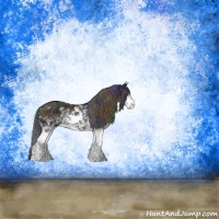 Horse Color:Nacre Black Ice Sabino Rabicano