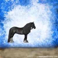 Horse Color:Black Ice Sabino Rabicano 