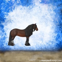 Horse Color:Brown Sabino Rabicano 