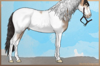 Horse Color:Bay Roan Dun Tobiano Frame 