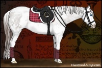 Horse Color:White Spotted Liver Chestnut Sabino Splash 