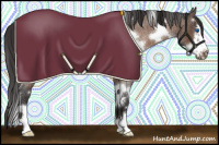 Horse Color:White Spotted Buckskin Roan Frame Rabicano