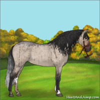 Horse Color:Brown Roan Dun Brindle 
