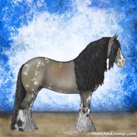 Horse Color:Grullo Mushroom Sabino Brindle