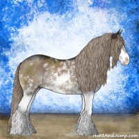 Horse Color:Liver Red Dun Sabino Rabicano 