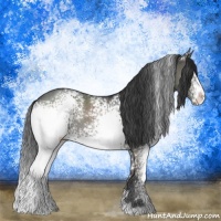 Horse Color:White Spotted Grullo Sabino Rabicano