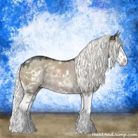 Horse Color:Liver Red Dun Mushroom Sabino Splash Rabicano