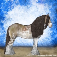 Horse Color:Liver Red Dun Sabino Rabicano 