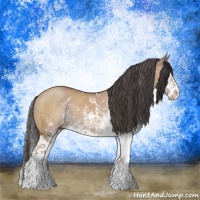 Horse Color:Brown Dun Mushroom Sabino Splash Rabicano Brindle