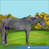 Horse Color:ERROR: UNKNOWN ANOMALY