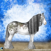 Horse Color:Grullo Mushroom Sabino Splash Rabicano