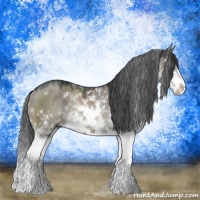 Horse Color:Grullo Mushroom Sabino Rabicano