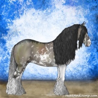 Horse Color:Grullo Mushroom Sabino Splash 