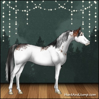Horse Color:White Spotted Brown Rabicano 