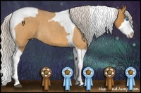 Horse Color:Silver Buckskin Roan Splash Tobiano