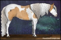 Horse Color:Silver Buckskin Roan Splash Tobiano 