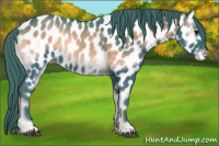 Horse Color:Watercolor Blue Onyx Appaloosa