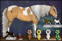 Horse Color:Silver Buckskin Splash Tobiano 