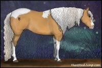 Horse Color:Silver Buckskin Splash Tobiano 