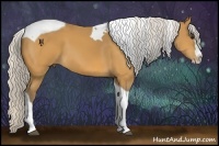 Horse Color:Silver Buckskin Splash Tobiano 