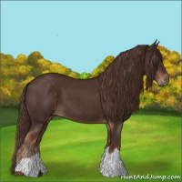 Horse Color:Liver Chestnut  and Liver Chestnut 