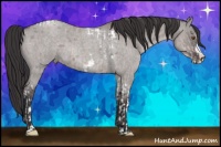 Horse Color:Platinum Sable Champagne Tobiano Frame  and Platinum Smoky Grullo Roan Frame Rabicano 