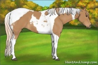 Horse Color:Chestnut Tobiano 