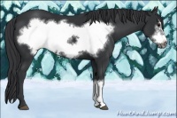 Horse Color:Black Frame 