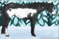 Horse Color:Black Frame