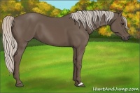 Horse Color:Silver Black