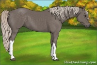 Horse Color:Silver Black 