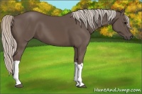 Horse Color:Silver Black 