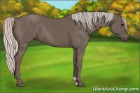 Horse Color:Silver Black 
