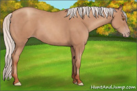 Horse Color:Silver Classic Champagne 