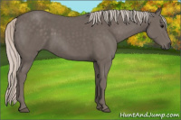 Horse Color:Silver Black 