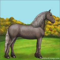 Horse Color:Silver Black 