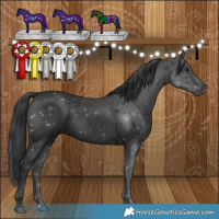Horse Color:Black 