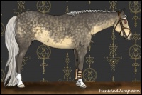 Horse Color:Silver Smoky Black Chinchilla