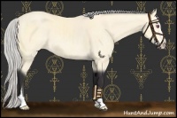 Horse Color:Silver Buckskin Chinchilla Sabino 