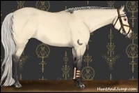 Horse Color:Silver Buckskin Chinchilla Dun 