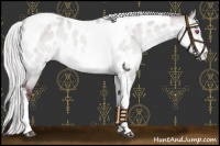 Horse Color:Chocolate Silver Brown Chinchilla Dun Tobiano Near Leopard 