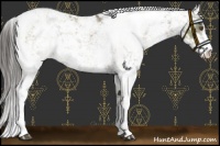 Horse Color:Smoky Grullo Chinchilla Sabino Rabicano