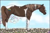 Horse Color:Liver Chestnut Tobiano 