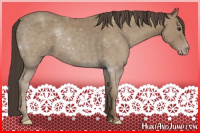 Horse Color:Classic Champagne 